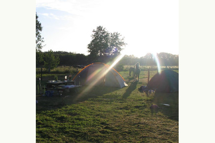 Kampeerplaats met eigen paard Camping Boszicht Gelderland VMP068